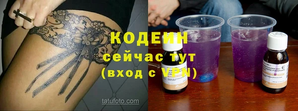 ГАЛЛЮЦИНОГЕННЫЕ ГРИБЫ Аркадак