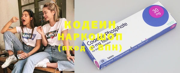 ГАЛЛЮЦИНОГЕННЫЕ ГРИБЫ Аркадак