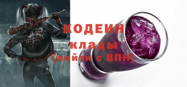 ГАЛЛЮЦИНОГЕННЫЕ ГРИБЫ Аркадак