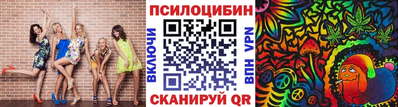 закладки  Тимашёвск  Псилоцибиновые грибы Psilocybine cubensis 